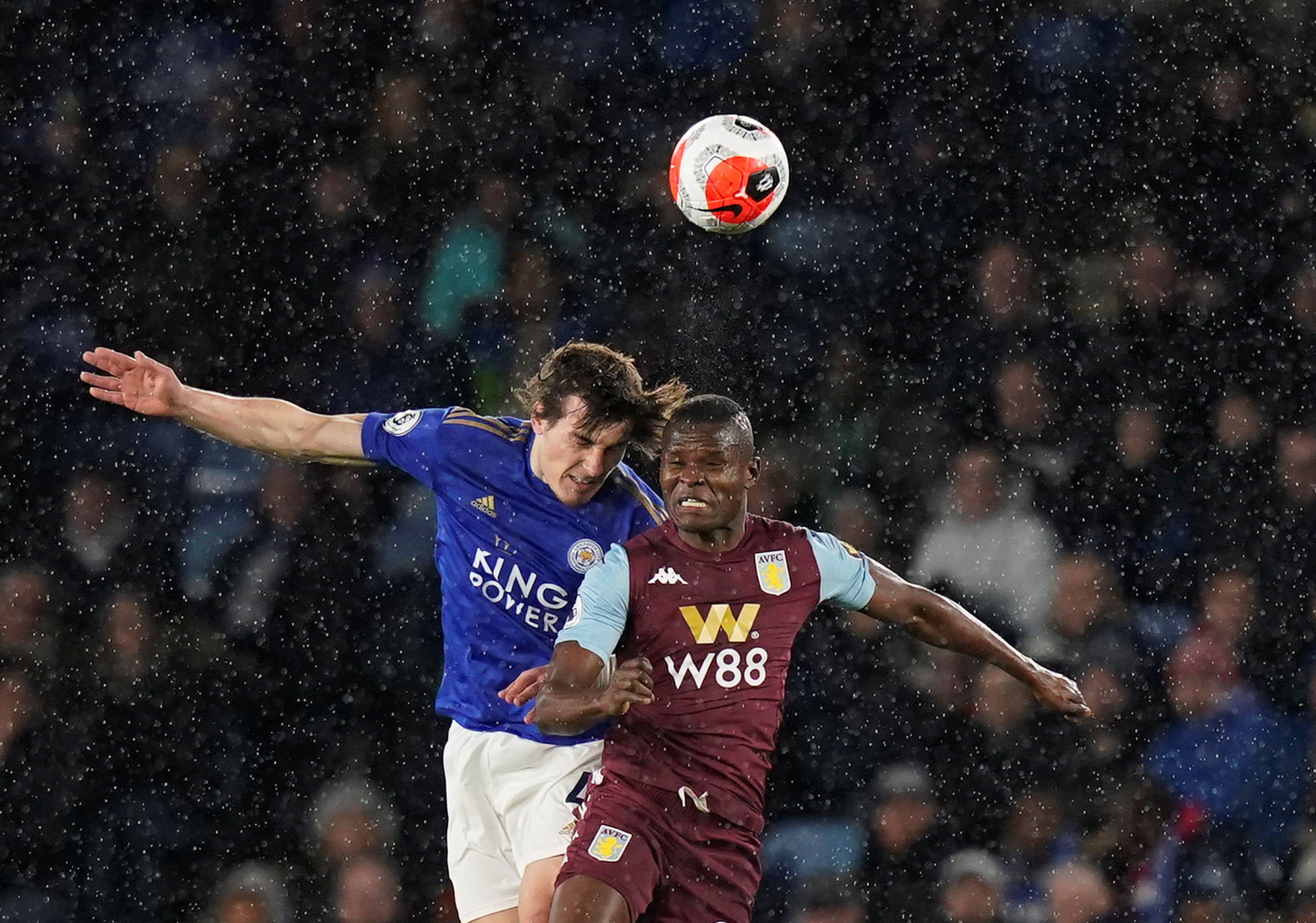 们提供一些 们提供一些